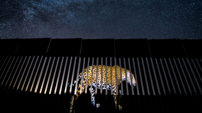 Giải báo chí: Hình ảnh một con báo đốm đực được phản chiếu lên một phần của hàng rào biên giới Mỹ-Mexico, trong một đêm đầy sao ở Arizona. Khoảnh khắc được chụp bởi Alejandro Prieto.