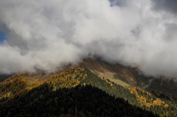 Mây ôm lấy sắc thu trên đỉnh núi Bzerpi, gần Sochi,Nga/Maxim Shemetov 