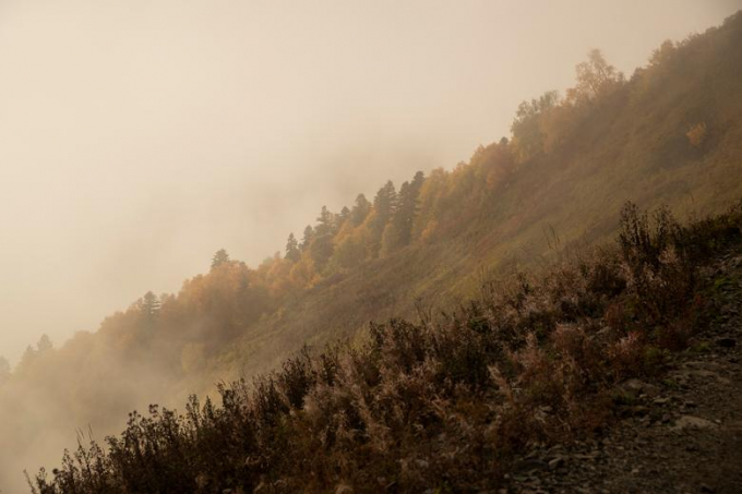 Sương mù ngày thu trên núi Bzerpi gần Sochi, Nga/Maxim Shemetov