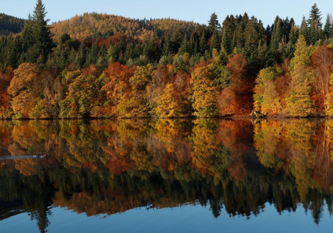 Những tán lá mùa thu phản chiếu xuống hồ Faskally, Pitlochry, Scotland/Russell Cheyne