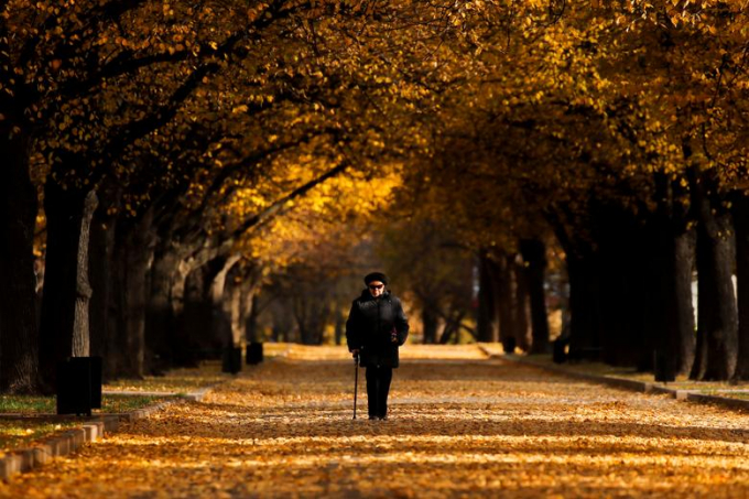 Một phụ nữ đang đi dạo dưới những tán cây vàng rực ở Moscow, Nga/Maxim Shemetov