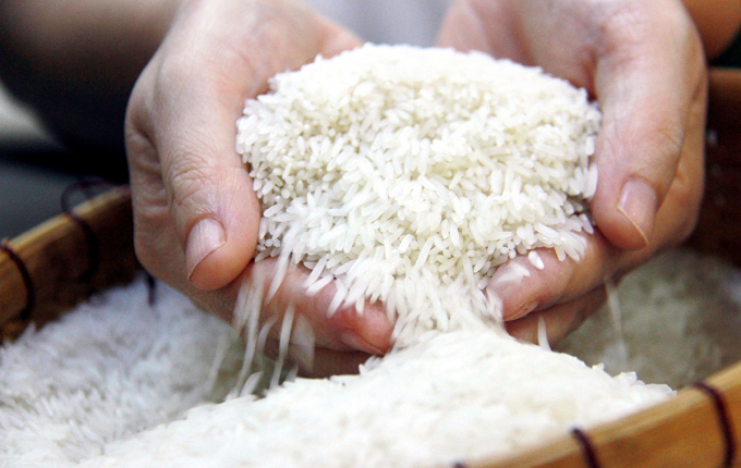 Gạo Việt Nam đang ngày một khẳng định vị thế