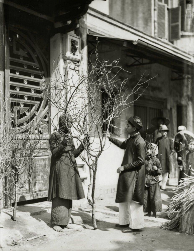 Mua đào dịp Tết ở Hà Nội năm 1920-1929,  bức ảnh trong cuốn sách
