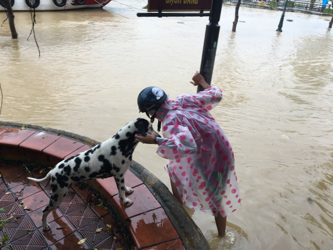 Chỉ 1 ngày sau, mưa tiếp tục diễn biến khó lường. Một người bên chú chó của mình giữa dòng nước