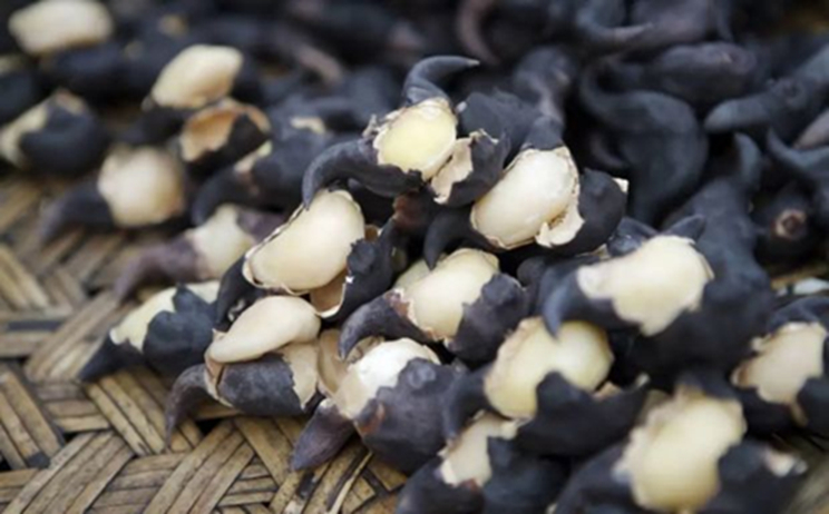 5 loại rau dễ “ôm ổ ký sinh trùng”, dân buôn cũng ngại ăn