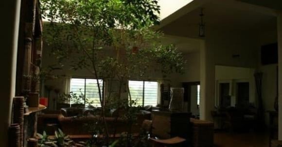 5 dấu hiệu nhận biết ngôi nhà tích tụ âm khí