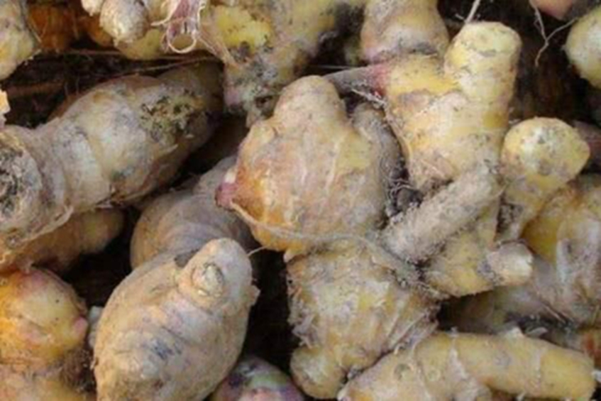 4 loại rau “độc” nhất thế giới âm thầm