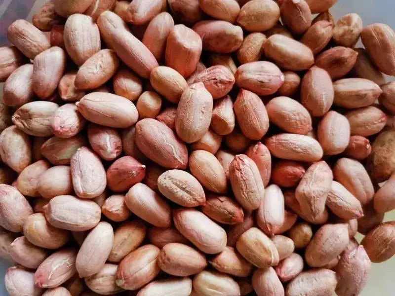 2 vợ chồng cùng lúc phát hiện ung thư gan, mở tủ lạnh ra bác sĩ hốt hoảng nói: