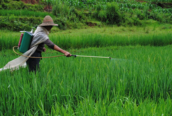 Anh công bố 12 loại rau quả