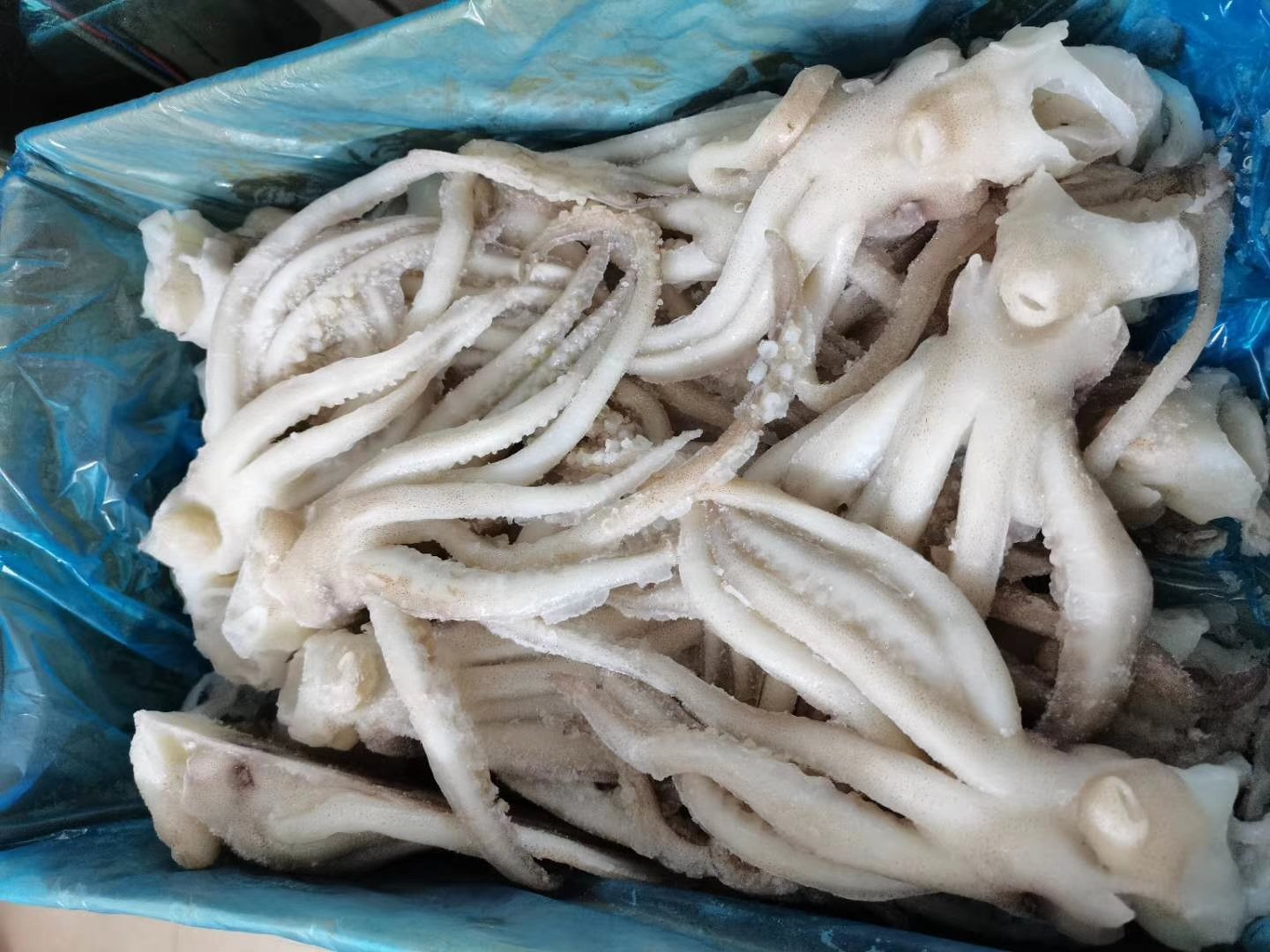 Ảnh minh họa: Sohu