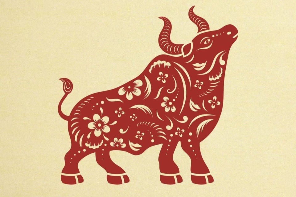 Tuổi Sửu (Ảnh: Times of India)