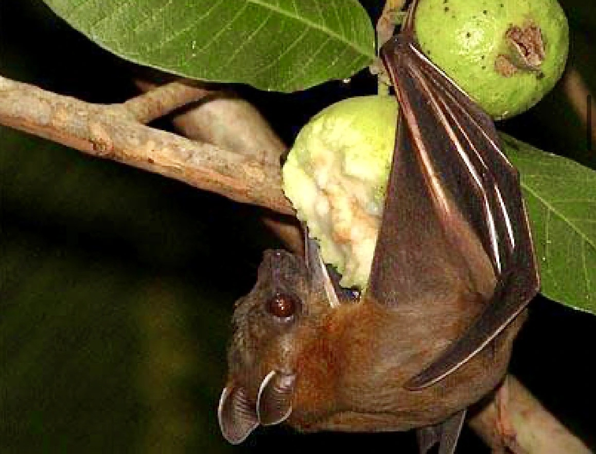 (Ảnh: SHUTTERSTOCK)