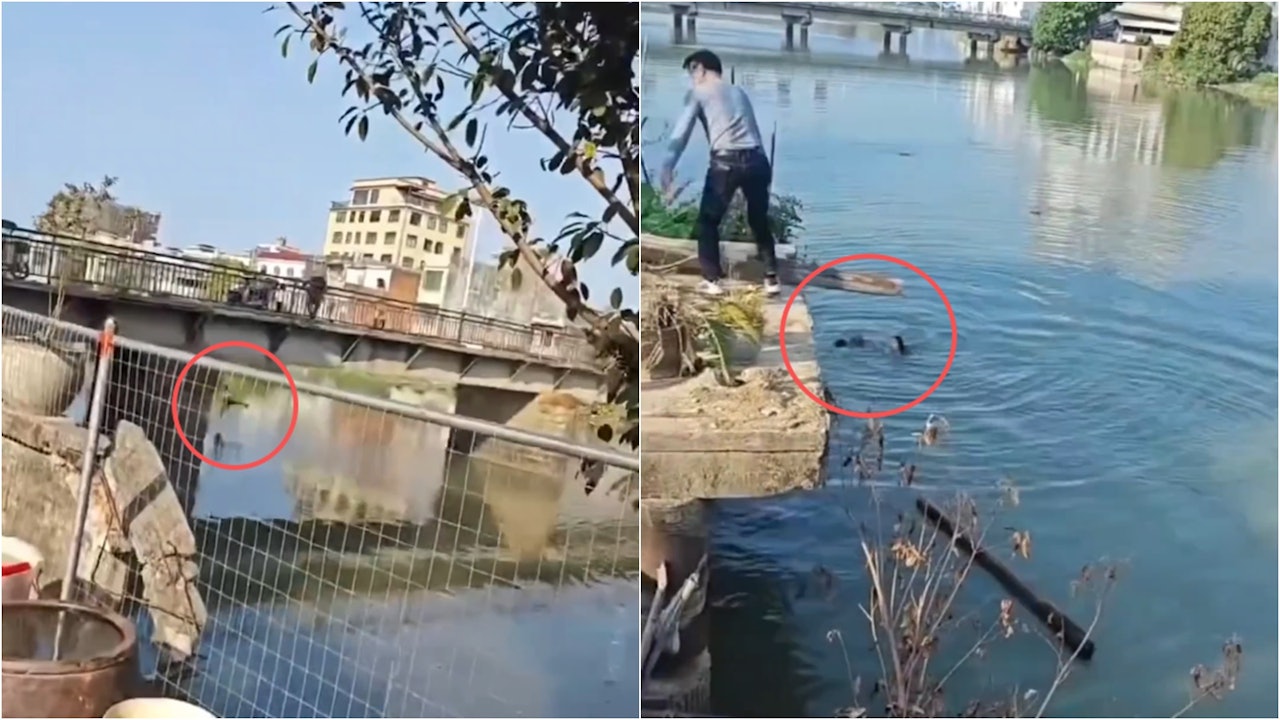 Vụ việc đã tạo ra làn sóng phẫn nộ