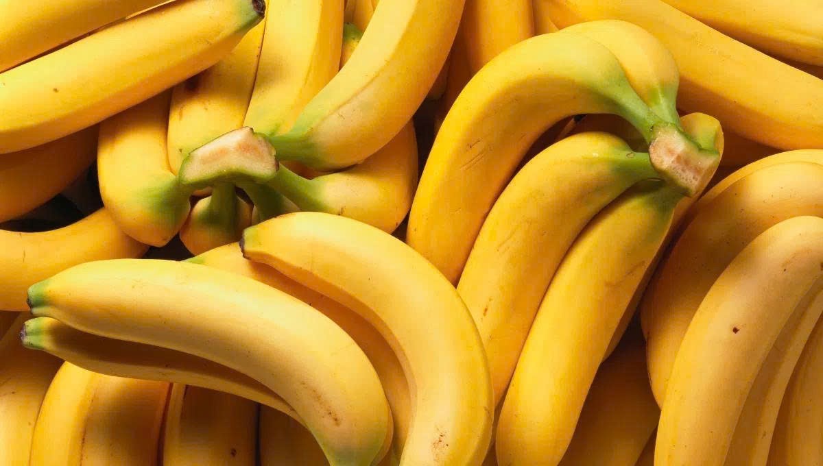 “Vua trái cây” tiêu thụ nhiều nhất thế giới: Trồng bạt ngàn ở Đồng Nai, mùa nào cũng sẵn, giá chưa tới 10.000đ/quả