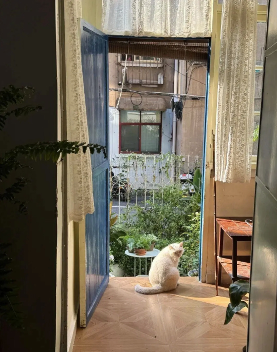 Cụ bà 73 tuổi không phiền con cháu, già đi lặng lẽ trong căn nhà cũ ở quê: Cuộc sống dịu dàng, chữa lành đến lạ