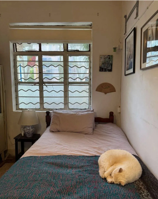 Cụ bà 73 tuổi không phiền con cháu, già đi lặng lẽ trong căn nhà cũ ở quê: Cuộc sống dịu dàng, chữa lành đến lạ