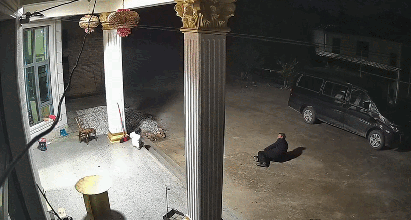 Dù đi chưa vững, xuống thềm phải bò ngược em vẫn vội vàng tiến về phía ông (Ảnh cắt từ video)