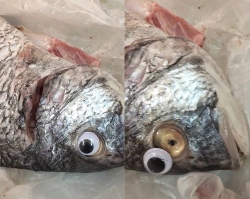 Mẹo xương máu phân biệt cá tươi và cá ươn, người bán 