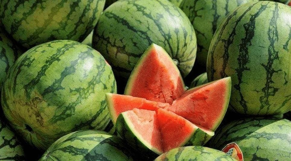 Vỗ rát cả tay không mua nổi quả dưa hấu “ra hồn”: Nhân viên siêu thị tiết lộ đúng 1 chi tiết mấu chốt