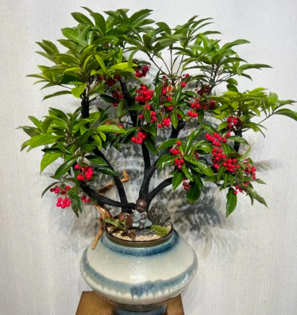 5 loài hoa nở 200 ngày mỗi năm, không biết mệt là gì: Đẹp hơn hoa hồng, thơm hơn mộc hương, chăm cực dễ 