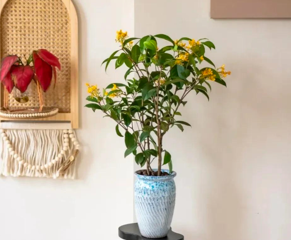 Screenshot 2026-03-18 144716