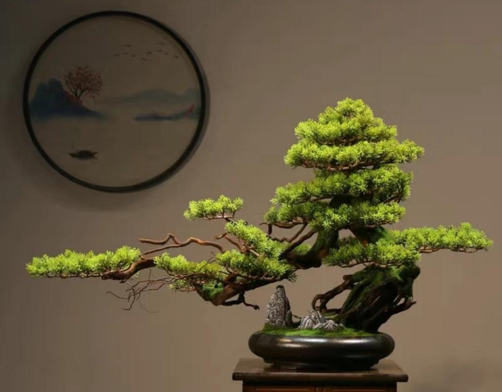 Muốn phòng khách lên level thượng lưu, tôi khuyên bạn ĐỪNG TRỒNG HOA: 8 cây xanh này mới là 