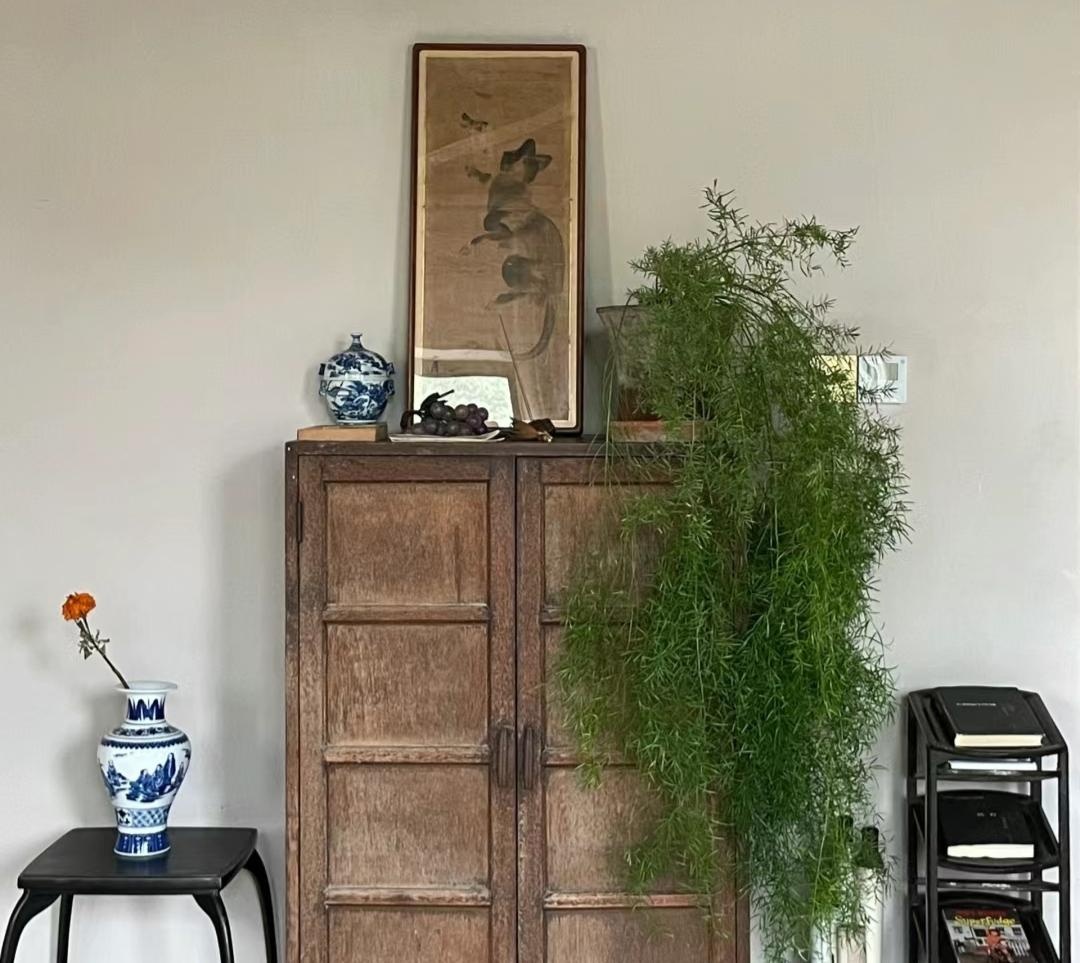 Muốn phòng khách lên level thượng lưu, tôi khuyên bạn ĐỪNG TRỒNG HOA: 8 cây xanh này mới là 