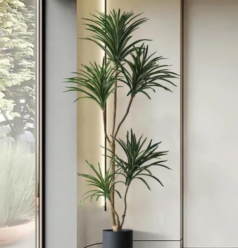 Muốn phòng khách lên level thượng lưu, tôi khuyên bạn ĐỪNG TRỒNG HOA: 8 cây xanh này mới là 