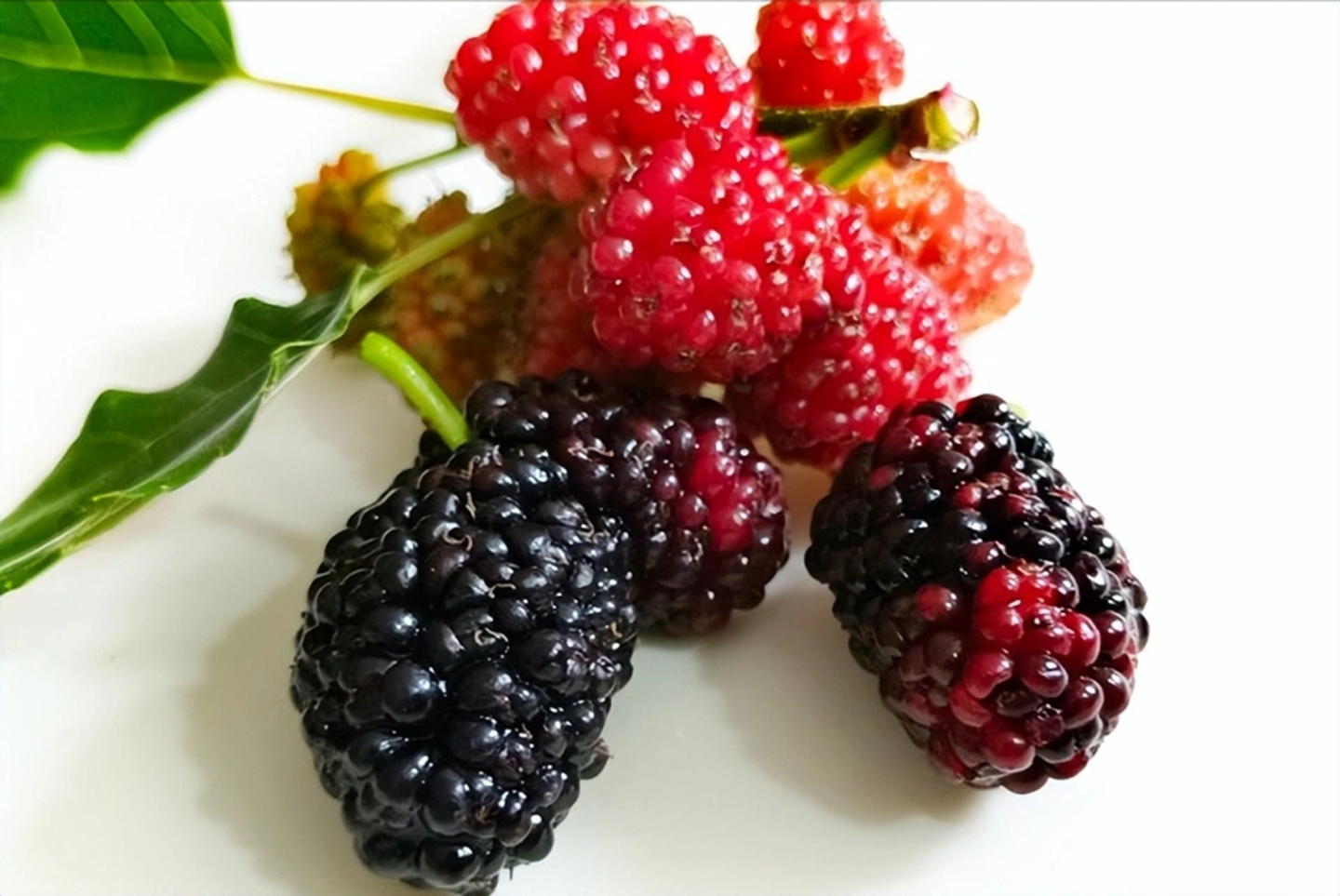 4 loại trái cây người Việt ăn hàng ngày giúp bồi bổ máu nuôi dưỡng gan, chợ bán giá rất rẻ