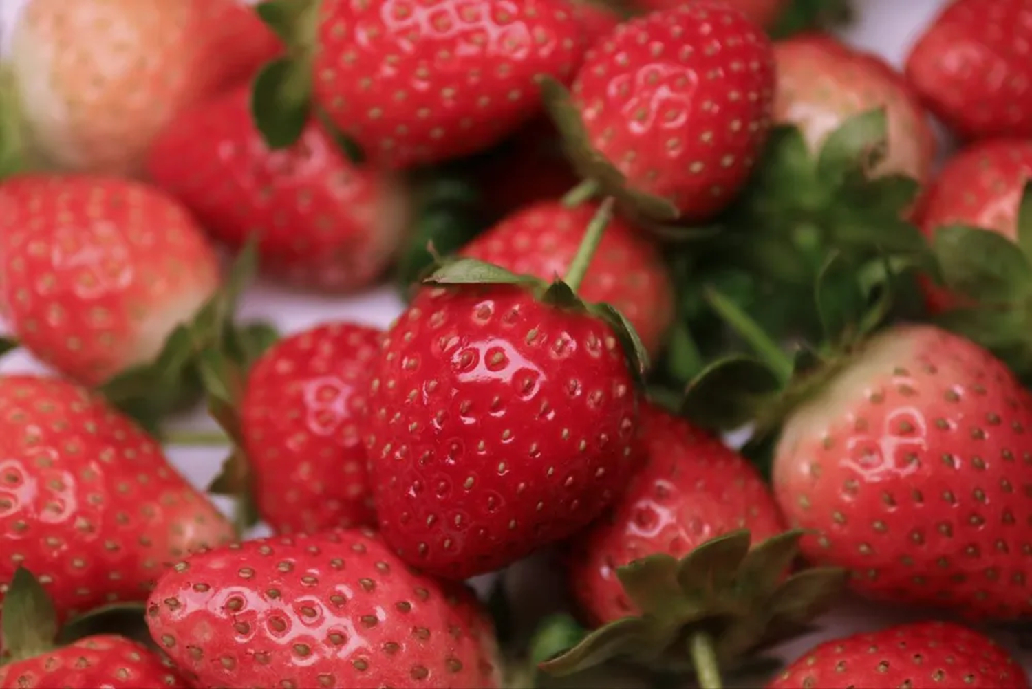 4 loại trái cây người Việt ăn hàng ngày giúp bồi bổ máu nuôi dưỡng gan, chợ bán giá rất rẻ