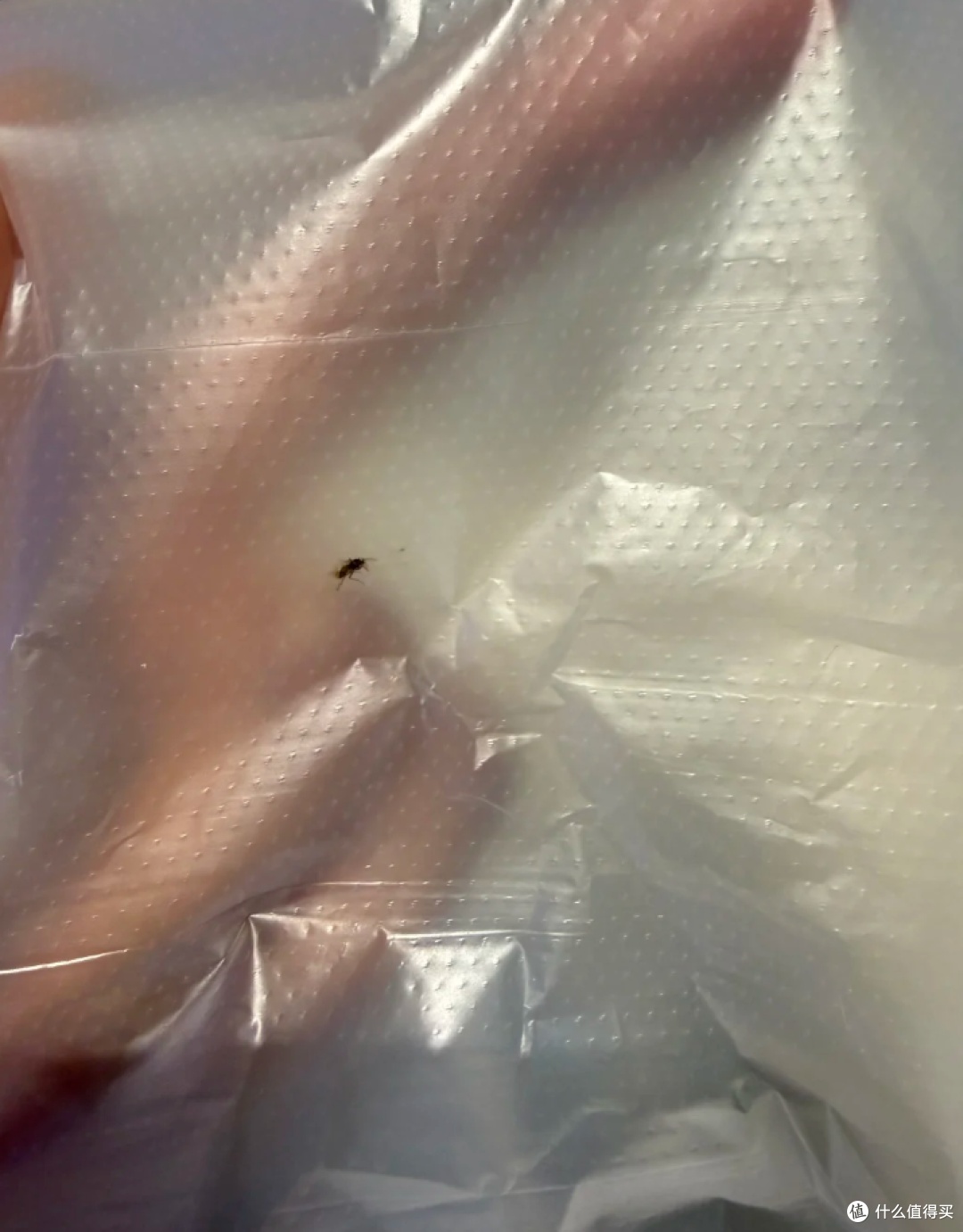 4 thứ nhà bạn hay dùng đi dùng lại: Thật ra bẩn kinh khủng, chuyên gia khuyên VỨT NGAY