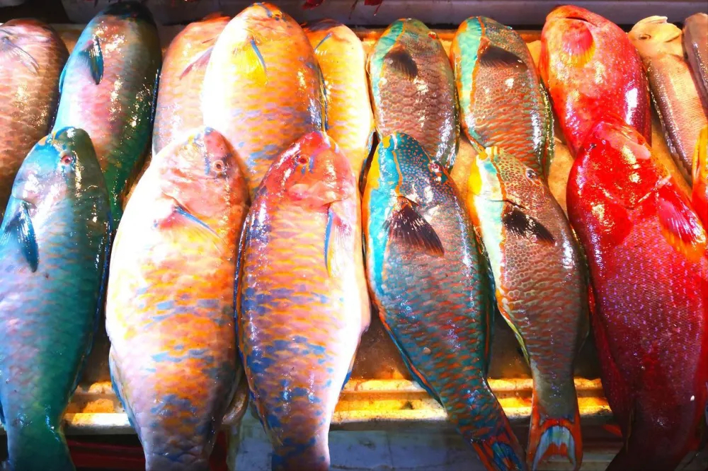 5 loại cá tưởng rẻ mà tiềm ẩn formaldehyde và kim loại nặng, ăn nhiều có thể hại gan thận