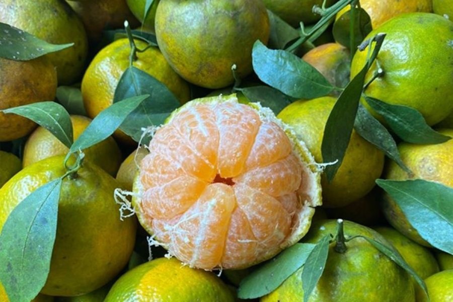 Loại quả Võ Tắc Thiên yêu thích: Xưa chỉ có vua chúa được ăn, nay giá rẻ bán đầy chợ Việt