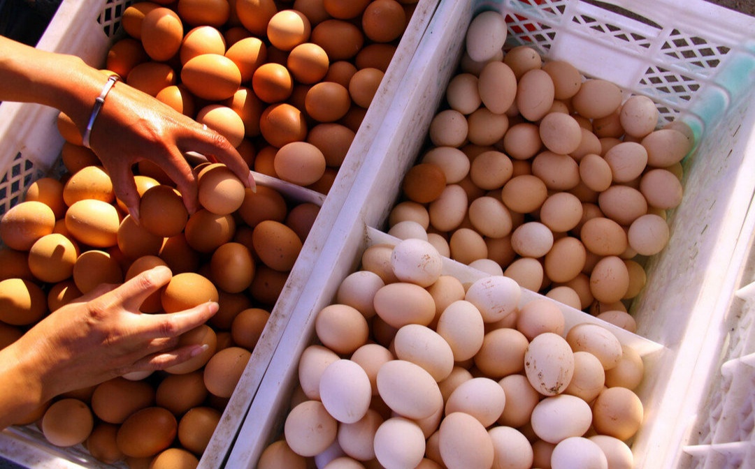 Loại quả vua Càn Long ưa thích: Mỗi ngày ăn 1 quả mang 