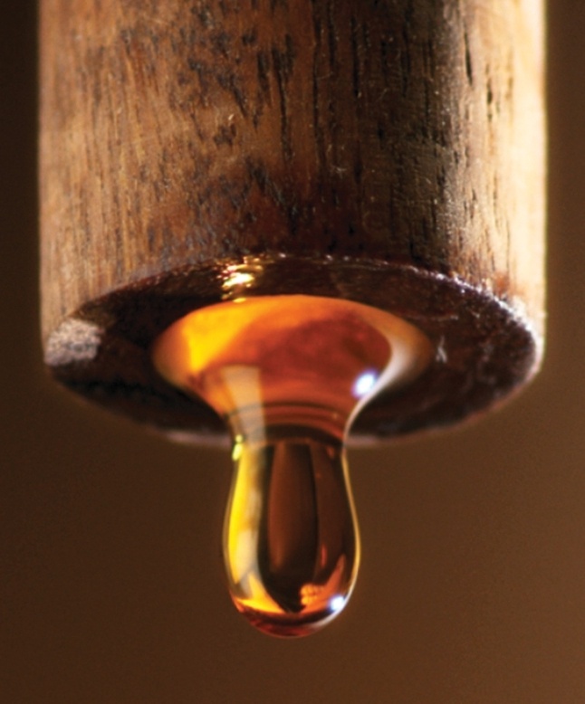 7 hãng nước mắm truyền thống ngon nhất Việt Nam: Tinh hoa 