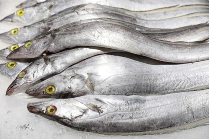 Loại cá giá rẻ, ít cholesterol, giàu đạm, dễ ăn cho cả người già lẫn trẻ nhỏ, đi chợ dễ tìm mà người Việt lại ít ăn