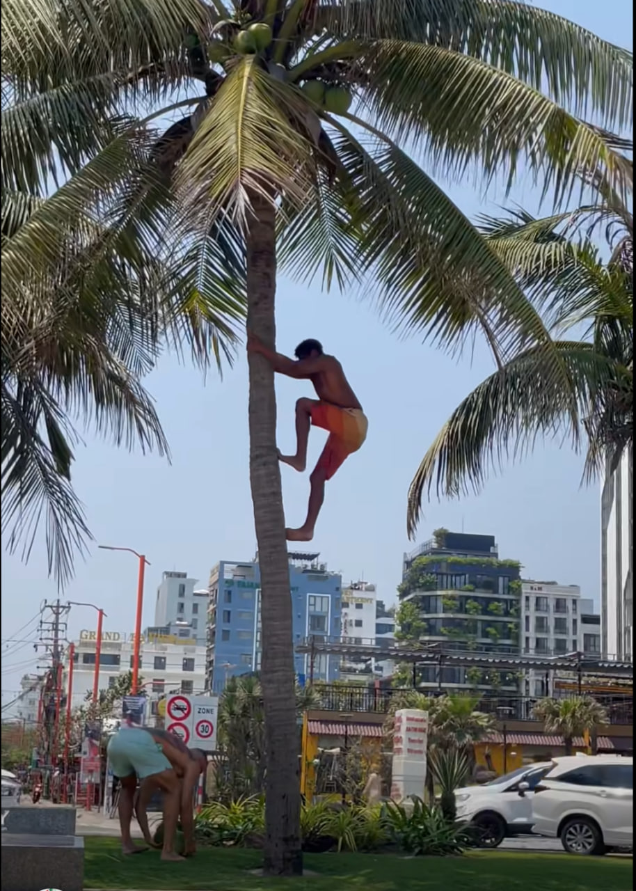 Khách Tây leo dừa thoăn thoắt ngay biển Đà Nẵng, kỹ năng khiến người Việt cũng phải chào thua