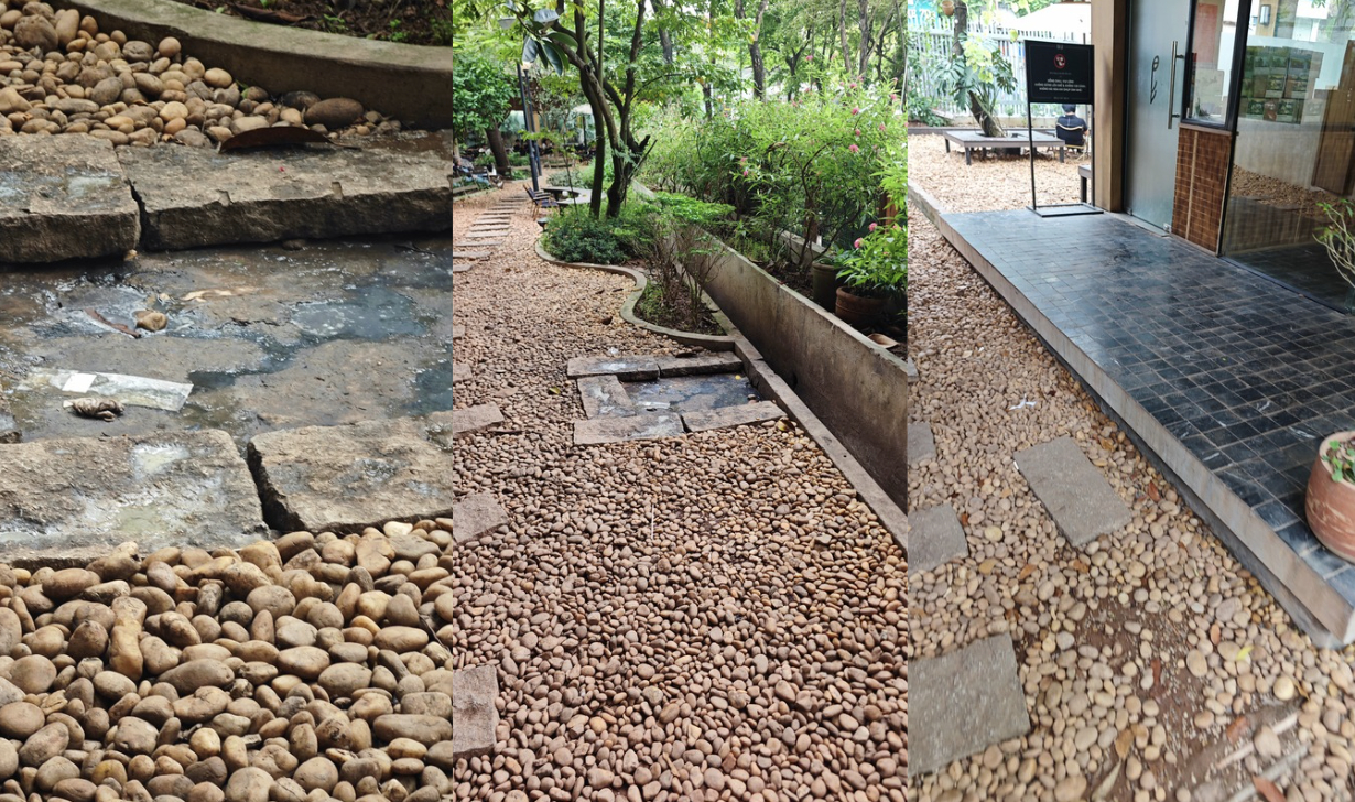 Khu vực sân vườn với lối đi rải sỏi có tình trạng đọng nước và mảng bám.
