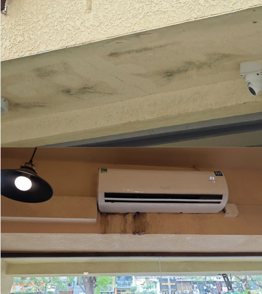 Vết mốc trên tường tại Lý Thường Kiệt.