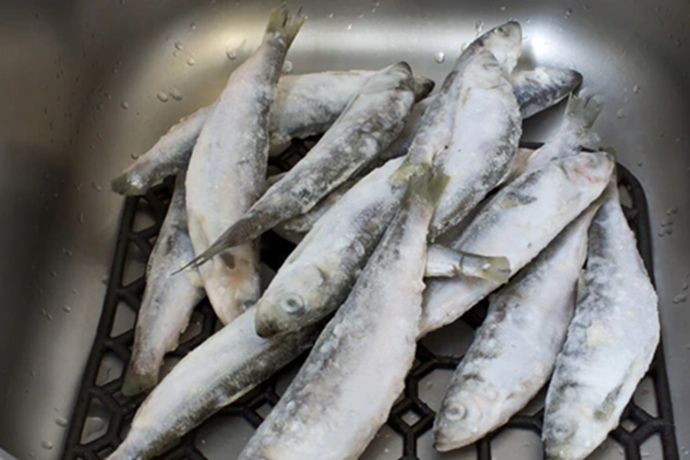 Bé trai 9 tuổi mắc ung thư máu vì thường xuyên ăn 1 loại cá, bác sĩ nhắc: 3 loại cá độc nên tránh xa