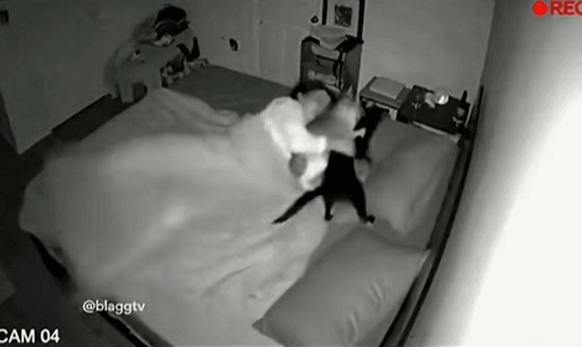 Người phụ nữ ngày nào cũng đi ngủ sớm nhưng sáng dậy vẫn thiếu ngủ, mệt mỏi trầm trọng, đoạn camera giám sát lúc 3 giờ sáng tiết lộ