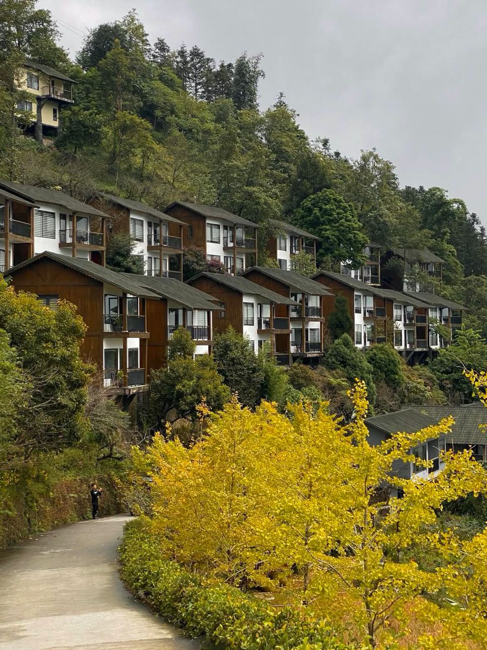 Sa Pa luôn biết cách “mời gọi” du khách bằng những góc check-in đẹp như tranh vẽ. Ảnh: dauhp.xo