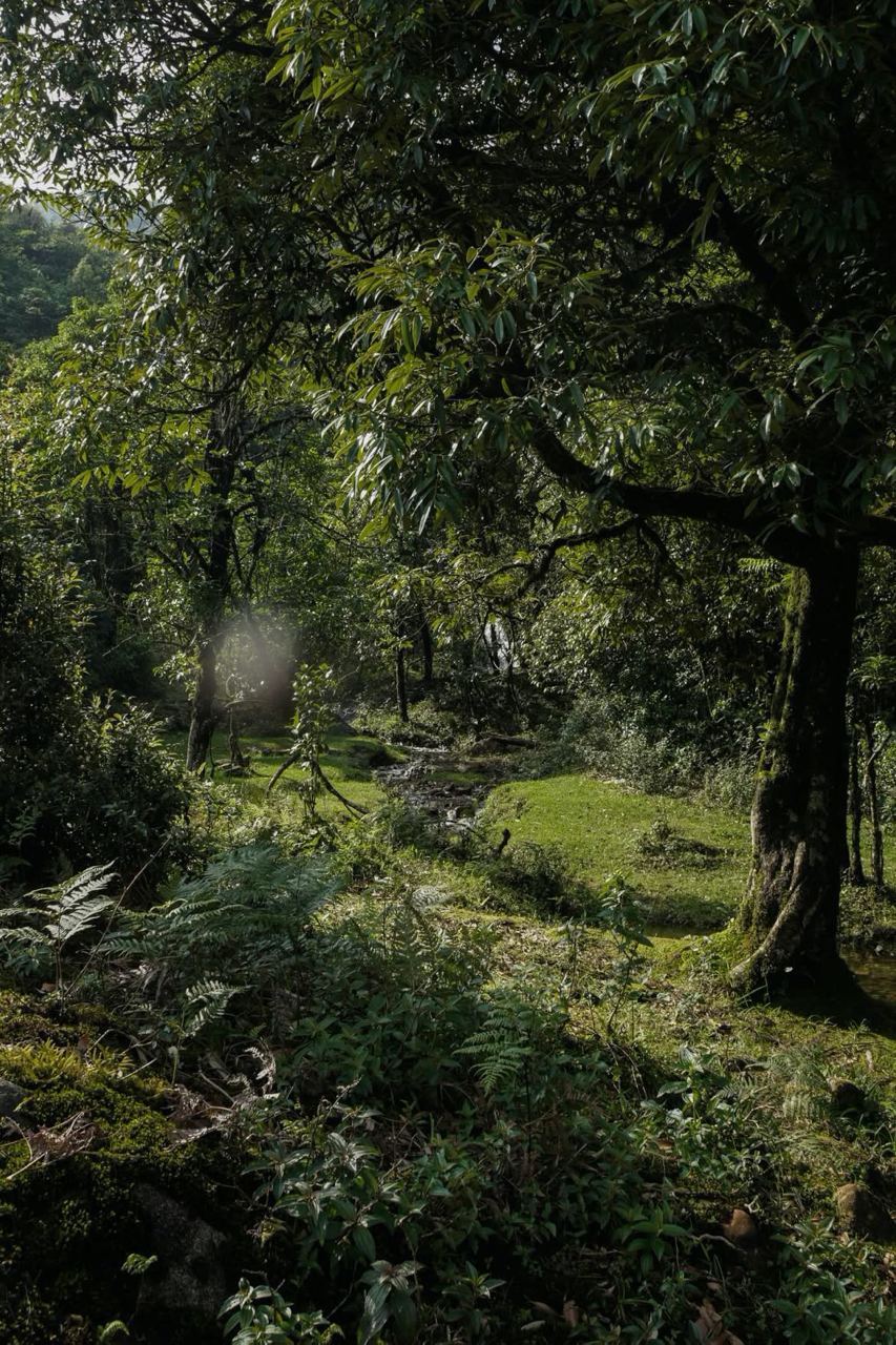 Dù du lịch ngày càng phát triển, Sa Pa vẫn giữ được những nét hoang sơ mà những nơi khác khó lòng có được. Ảnh: minhtri253