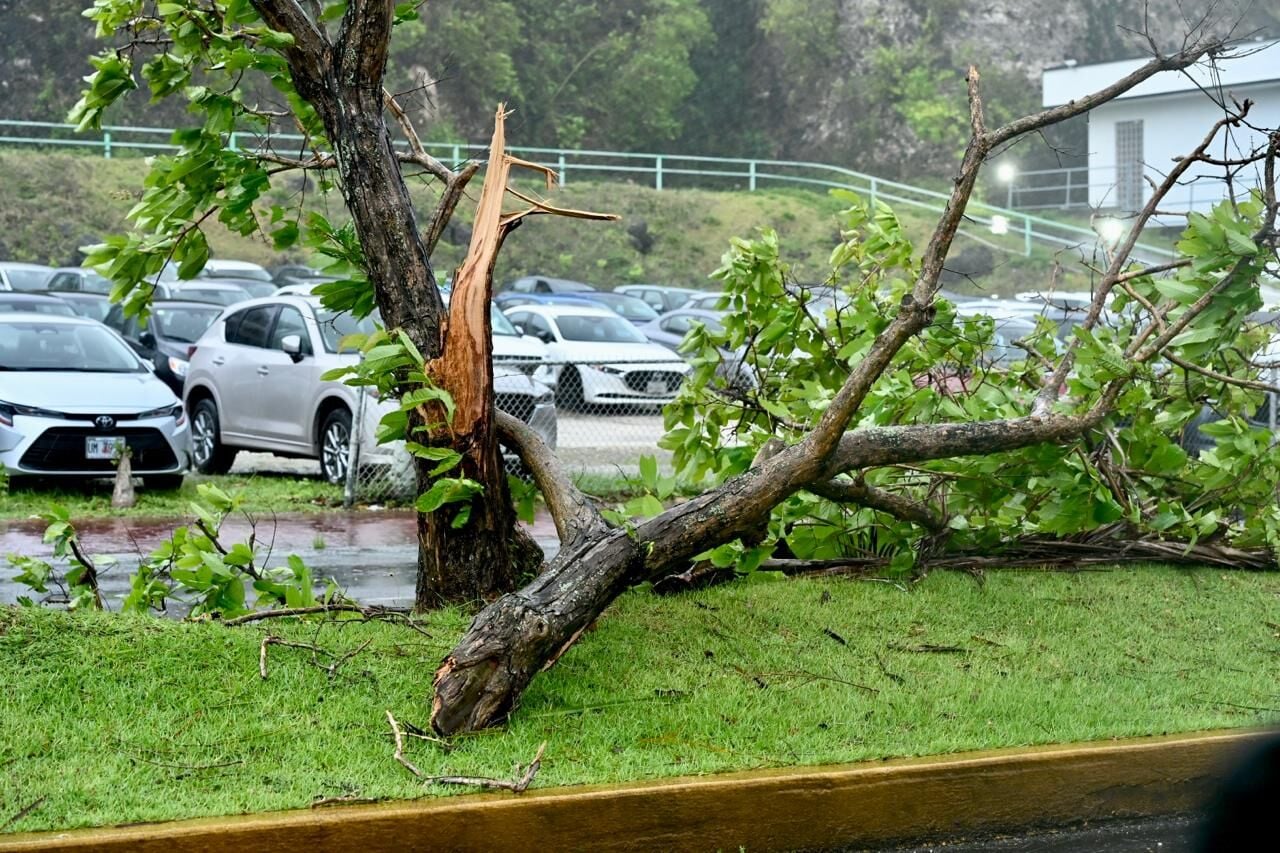Siêu bão mạnh nhất hành tinh Sinlaku áp sát: Người dân