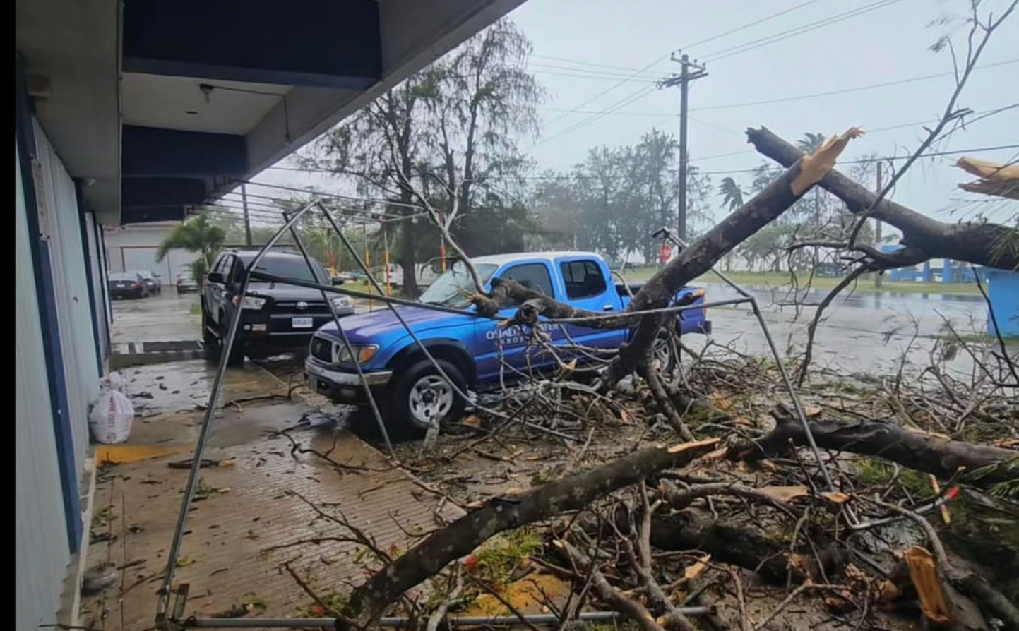 Gió mạnh đã đổ bộ làm đổ cây ở đảo Saipan