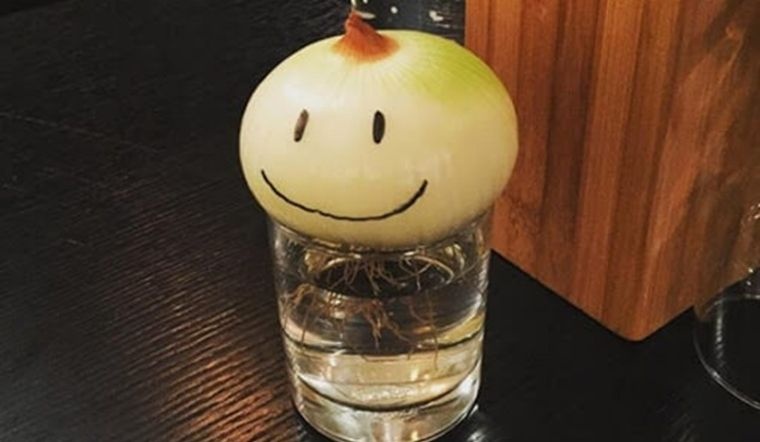 Không phải mê tín, giờ mới biết vì sao nhiều nhà luôn đặt 1 củ hành tây trong phòng ngủ