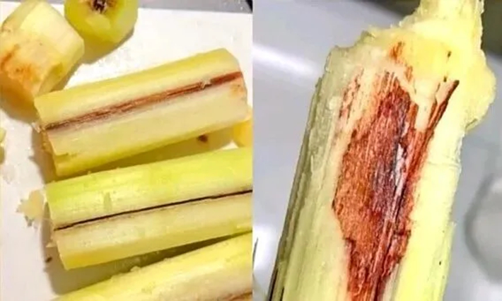 Đi chợ mua trái cây, nên chọn quả to hay quả nhỏ? Nhiều người chọn sai