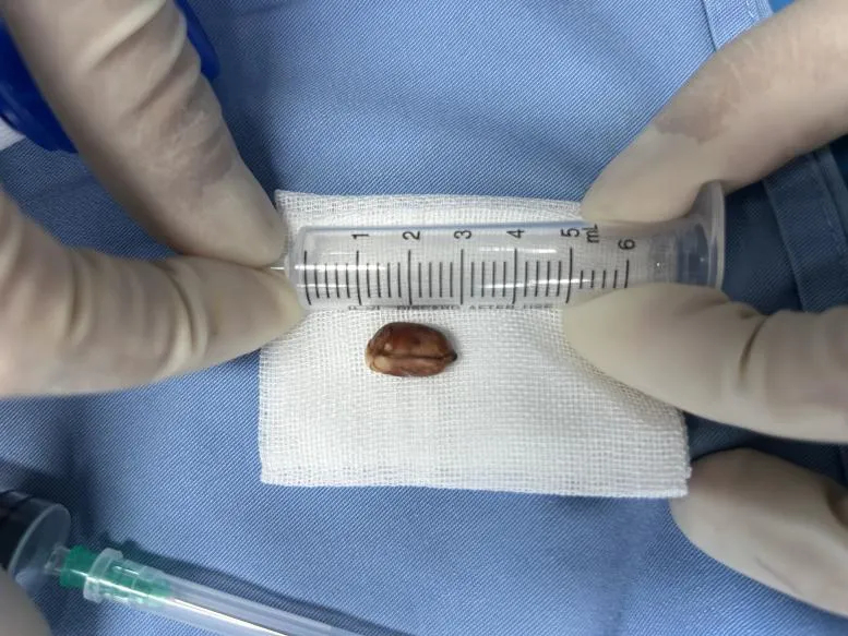 Không có tiêu đề