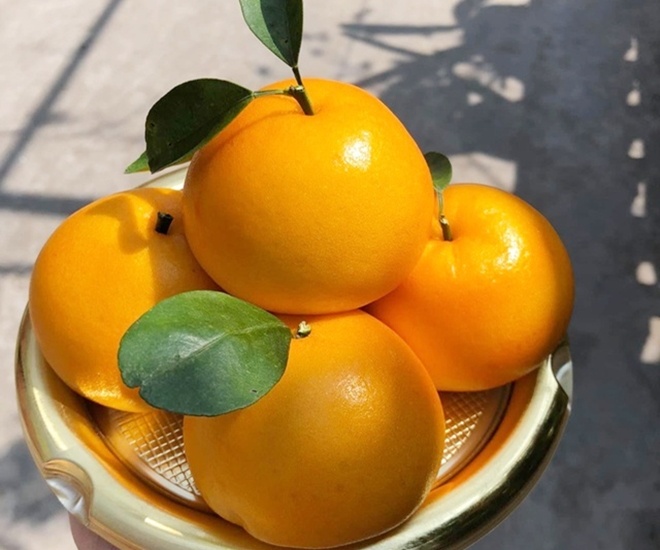 Mùng 1 tháng 3 Âm lịch: 5 loài hoa, 4 loại quả nên dâng cúng bàn thờ gia tiên