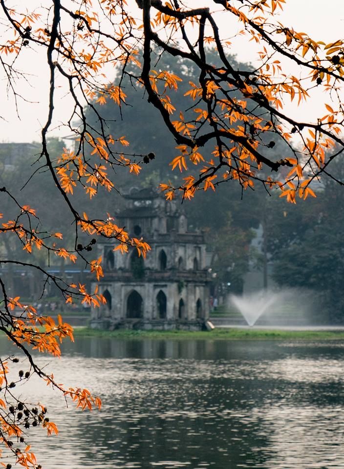 Việt Nam có nơi khiến CEO Apple Tim Cook phải lòng ngay lần đầu ghé thăm, sánh ngang Paris và Kyoto